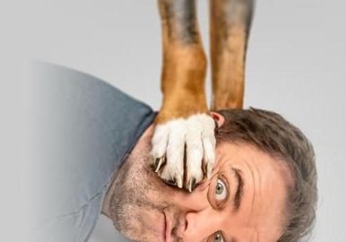 Martin Rütter - DER WILL NUR SPIELEN! Image